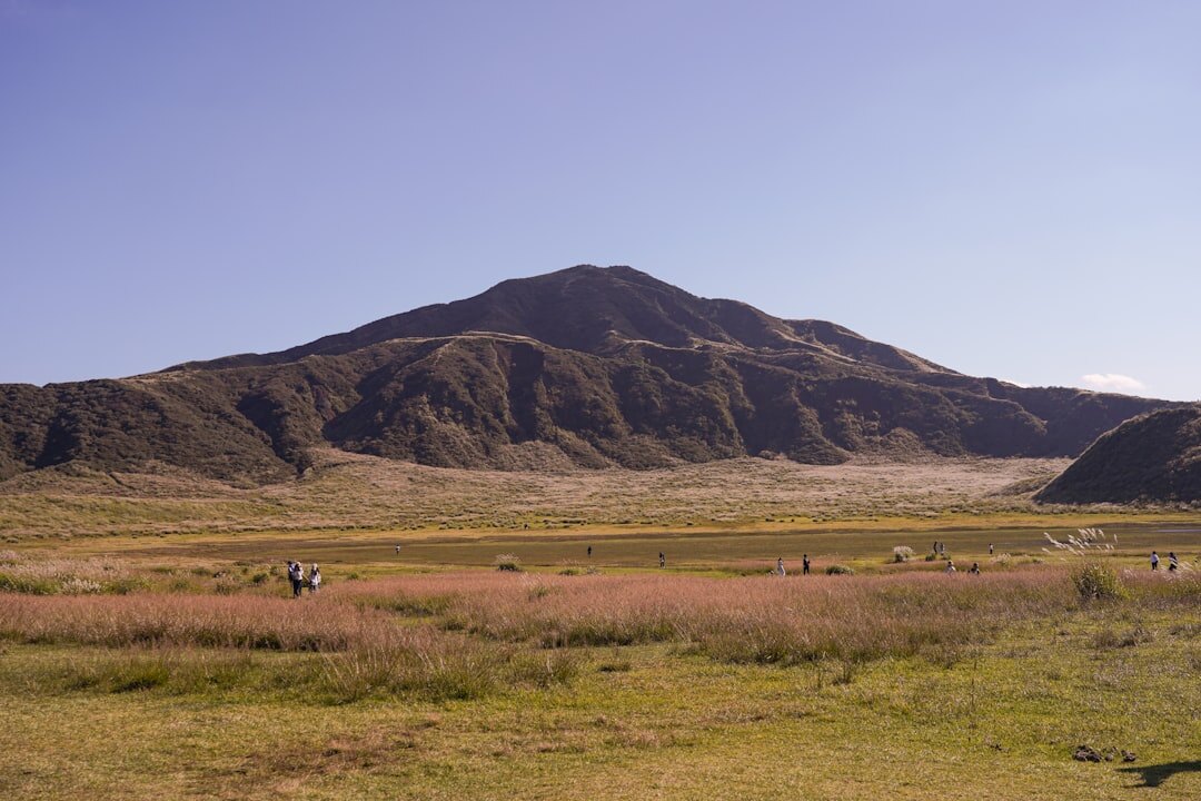 gaucho on horseback in pampas