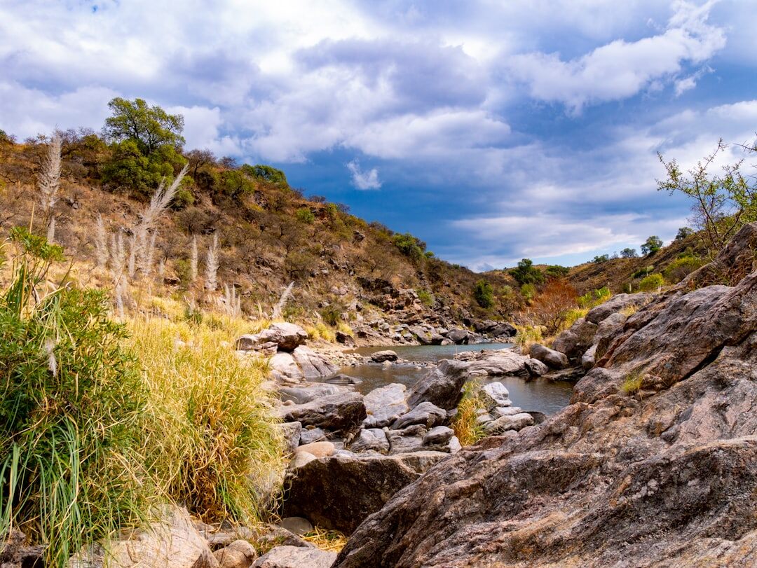 argentina pampas landscape
