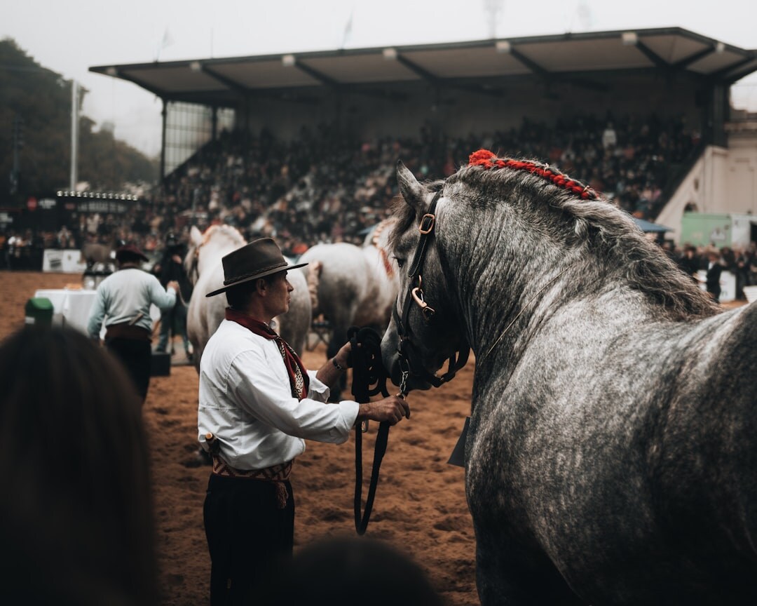 gaucho on horseback